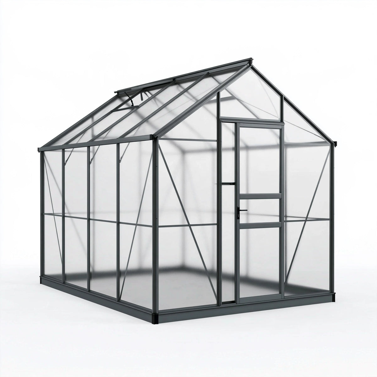 Serre de jardin 300 x 190 x 250 cm en aluminium noir et polycarbonate translucide avec porte
